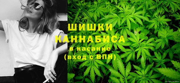 крисы Новодвинск