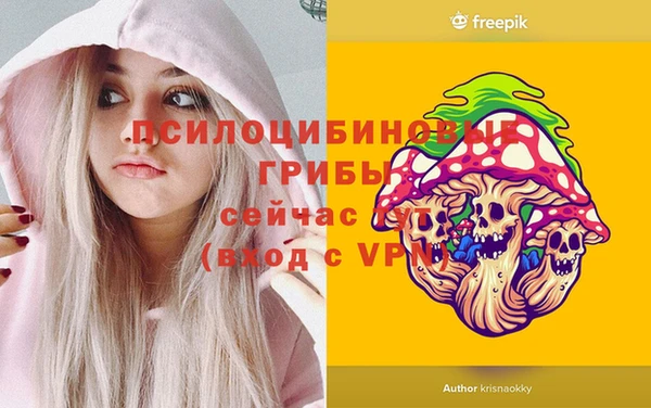 спиды Алексеевка