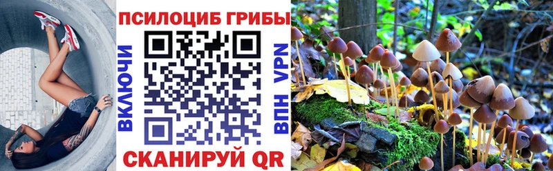 Галлюциногенные грибы Psilocybine cubensis  Томмот 